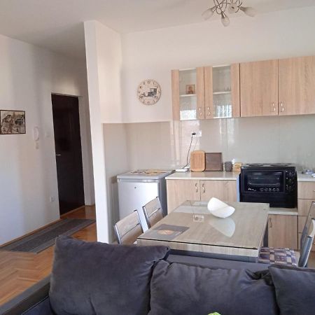 Apartment Srebrni Oblak Arandjelovac Dış mekan fotoğraf