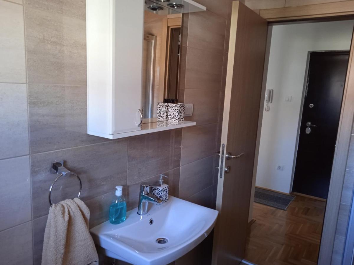 Apartment Srebrni Oblak Arandjelovac Dış mekan fotoğraf