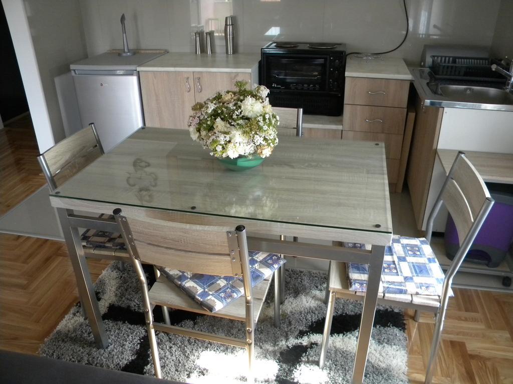 Apartment Srebrni Oblak Arandjelovac Dış mekan fotoğraf