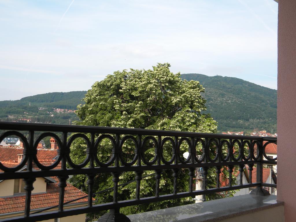 Apartment Srebrni Oblak Arandjelovac Dış mekan fotoğraf
